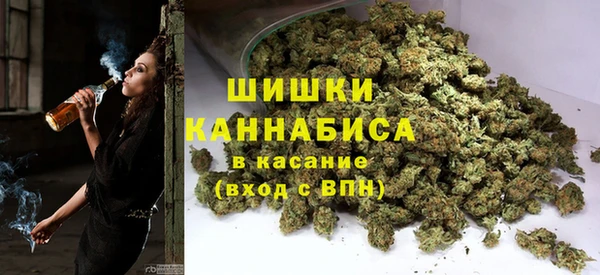 ГАЛЛЮЦИНОГЕННЫЕ ГРИБЫ Балахна