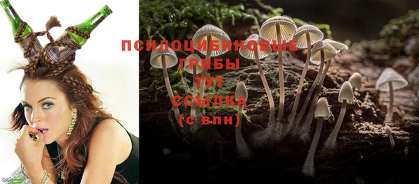 ГАЛЛЮЦИНОГЕННЫЕ ГРИБЫ Балахна