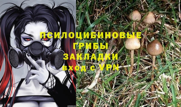 ГАЛЛЮЦИНОГЕННЫЕ ГРИБЫ Балахна